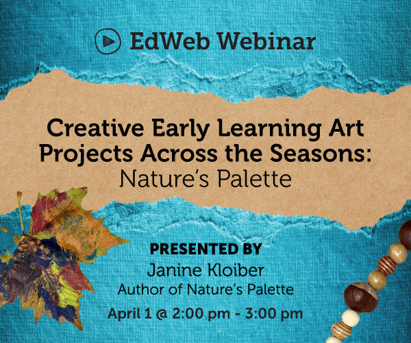 Natures PaletteWebsite Card