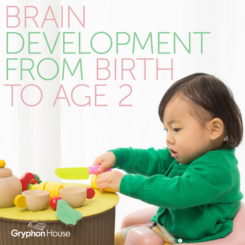 Brain development from birth to age 2
