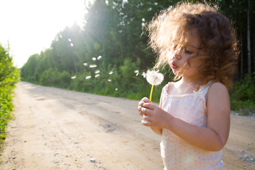 Wednesday Word: Dandelion