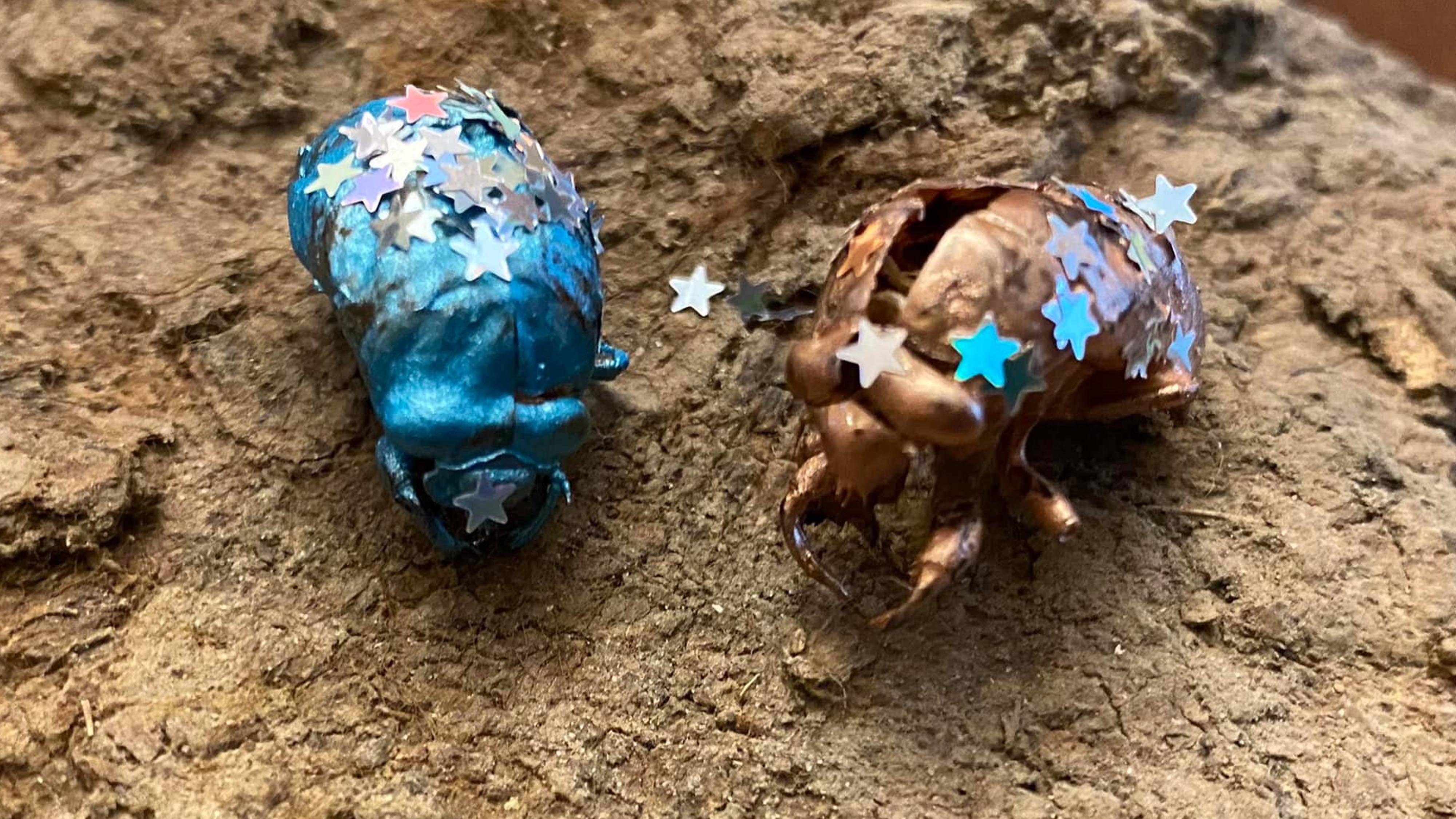 Making art with nature - painted cicada exoskeletons